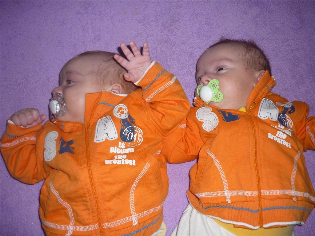 Nema niekto chut na pomarance